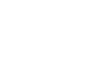 Pulse Insurance